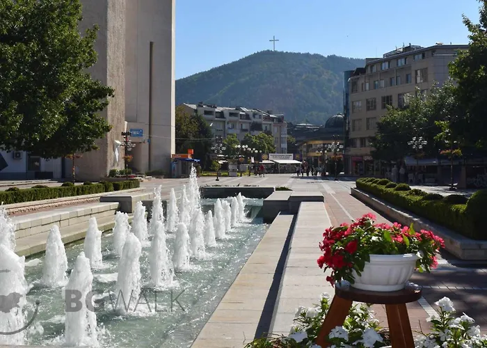 Cosy - Koncheto Apartament